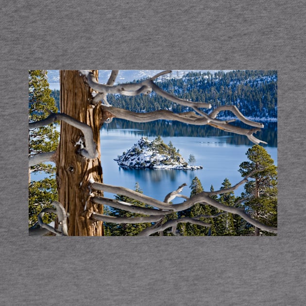 Window to Emerald Bay by StacyWhite